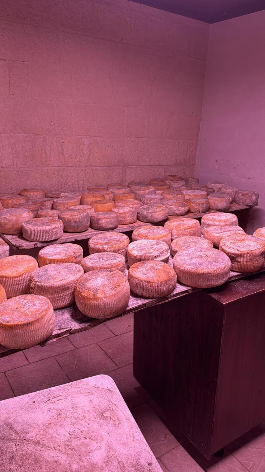 Tenuta Cantore Bauernhof